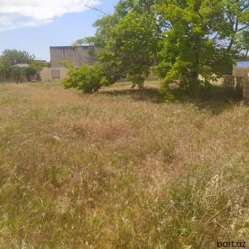Novxani bağ massivi 5 sot torpaq sahəsi satılır.