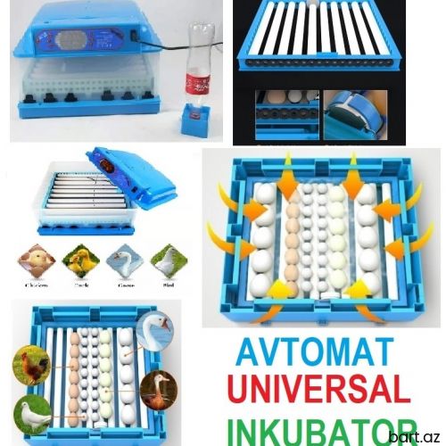  full avtomatik inkubatorlar