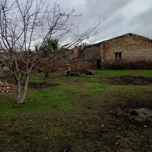 Buzovnada 15 sot torpaq satılır