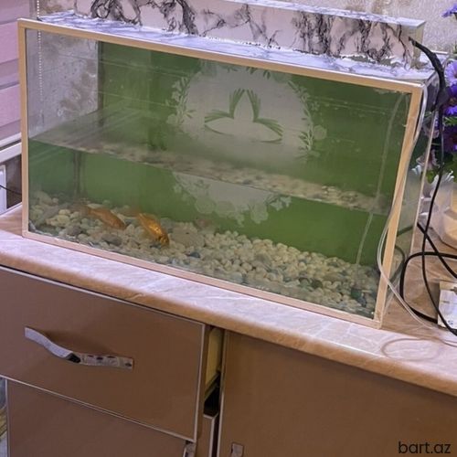 Qaçış trenajoru və akvarium dəsti