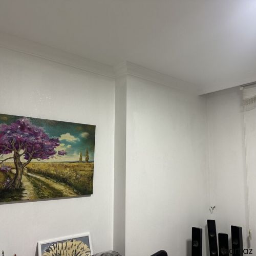 Qaciş trenajoru