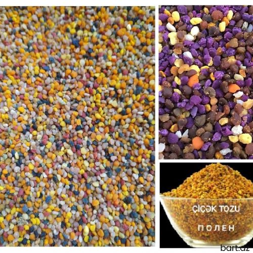 Bal və Arı məhsulları