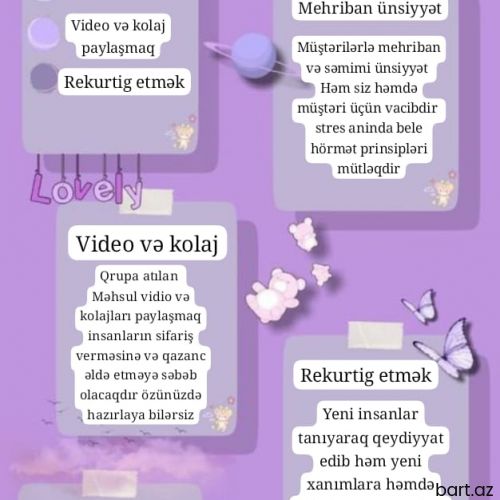 Xanımlar üçün online iş 