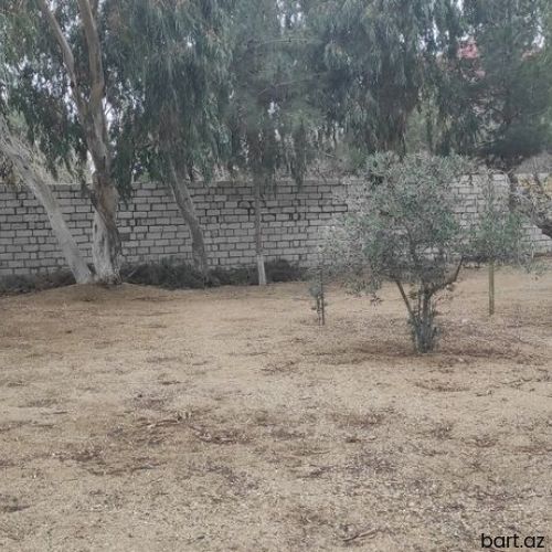 Buzovna Merdekan yolunda 7 sot torpaq satilir.