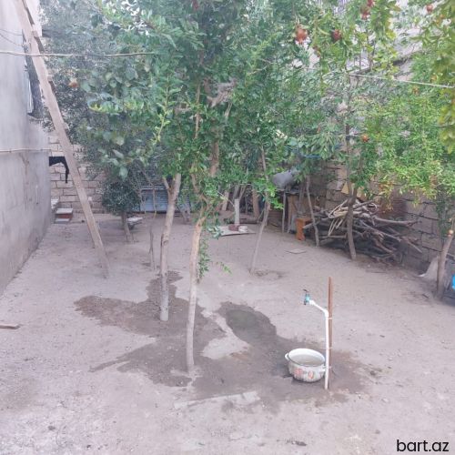 3 otaqlı həyət evi